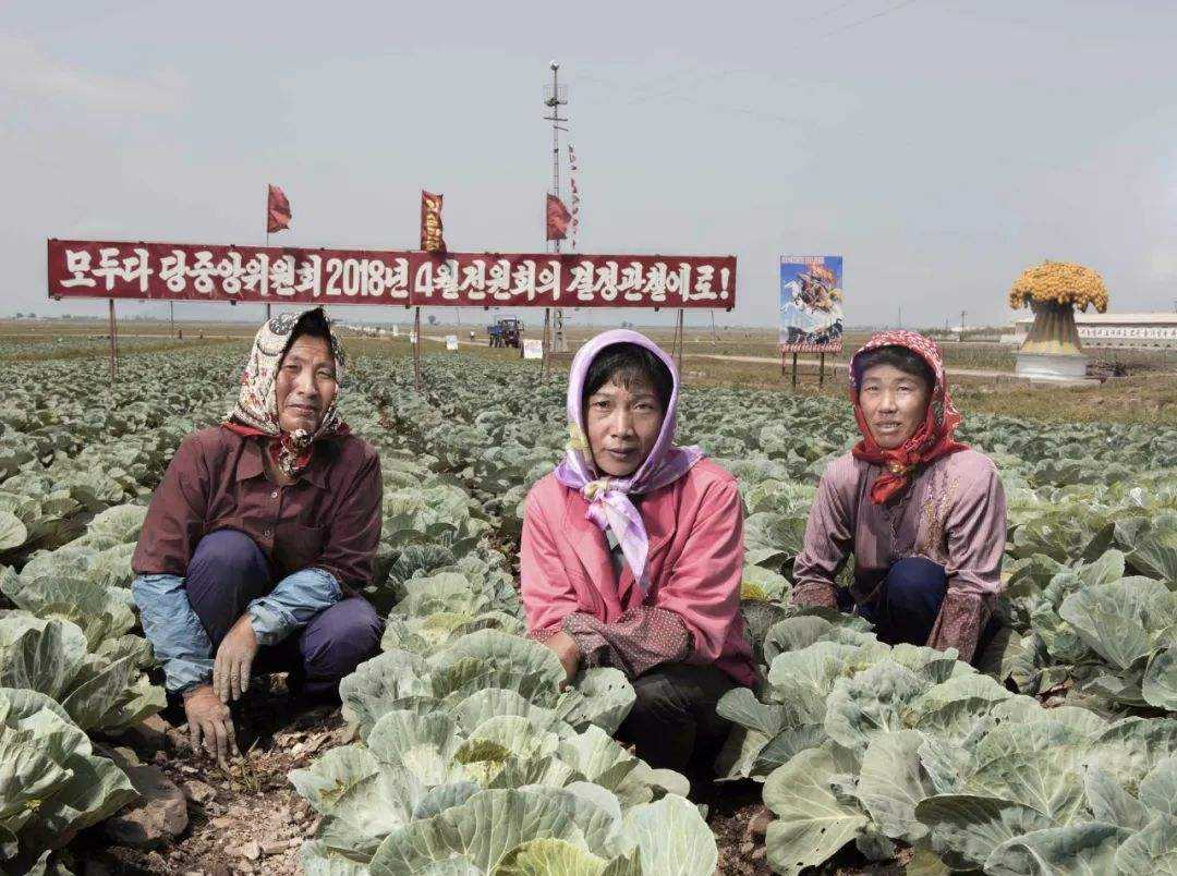 走进朝鲜，朝鲜人的工作为啥很难调动，导游：一个萝卜一个坑