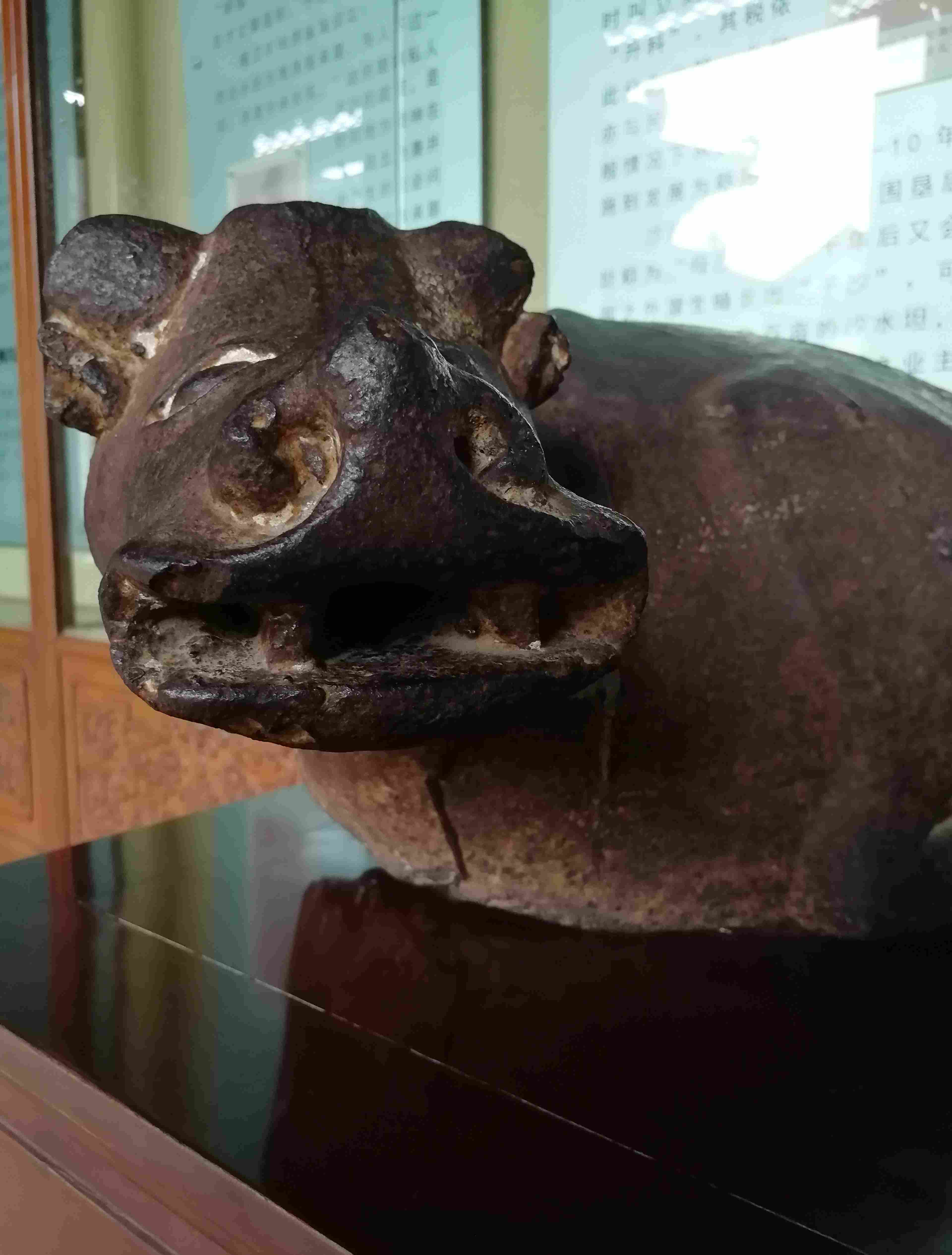 沙湾古镇怎么玩?本文带你走进沙湾古镇