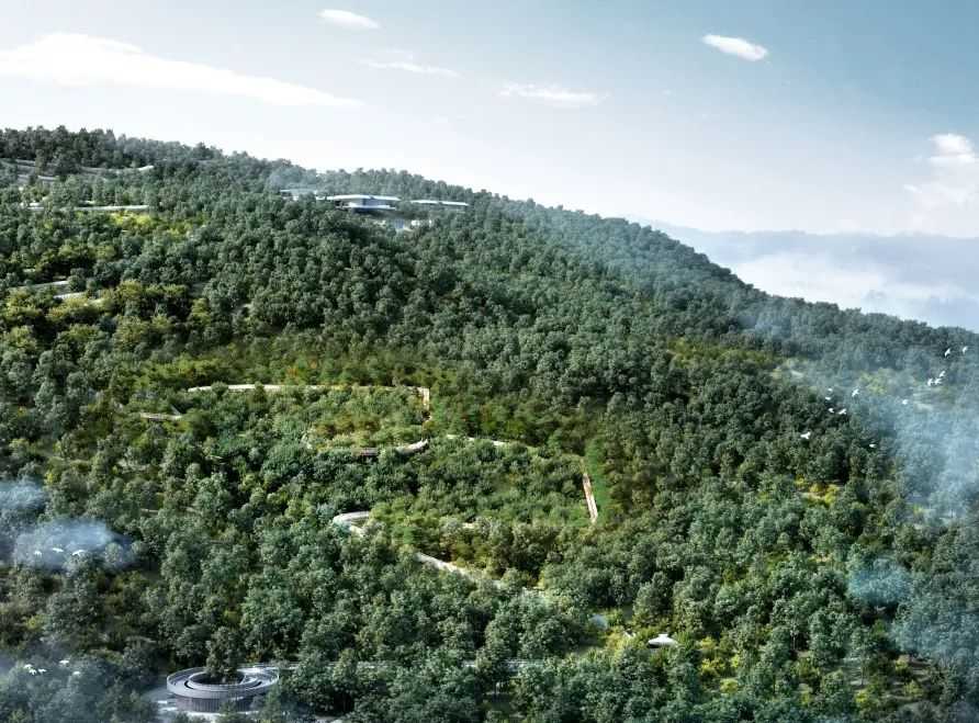 最高处23.8米！龙泉山森林公园“高空栈道”来了，预计今年9月竣工！