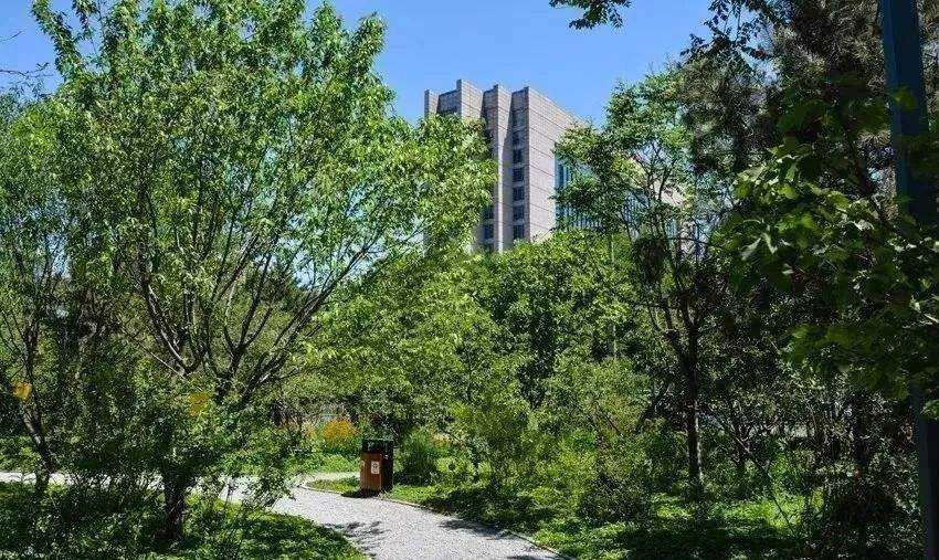 核心城区面积最大森林公园,9月底让你一次逛个够