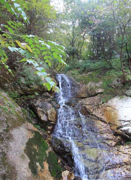 河南第一高峰,就在灵宝!生态绝佳,想开发成景区,却无能为力
