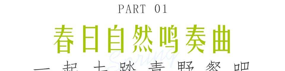 吸氧、拍照、遛娃、野餐、武汉最神仙的13个免费景点送上