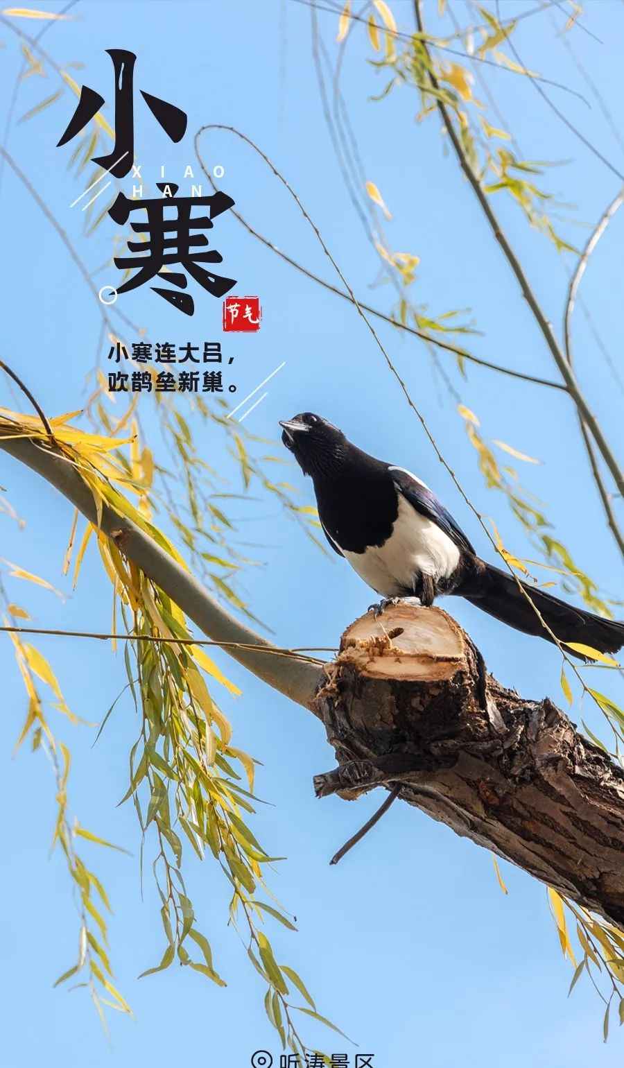 元旦假期没玩够?东湖还有这些地方等你来