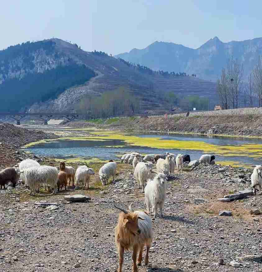 淄博9处野餐露营地,有山有水,人少安静,五一长假好去处