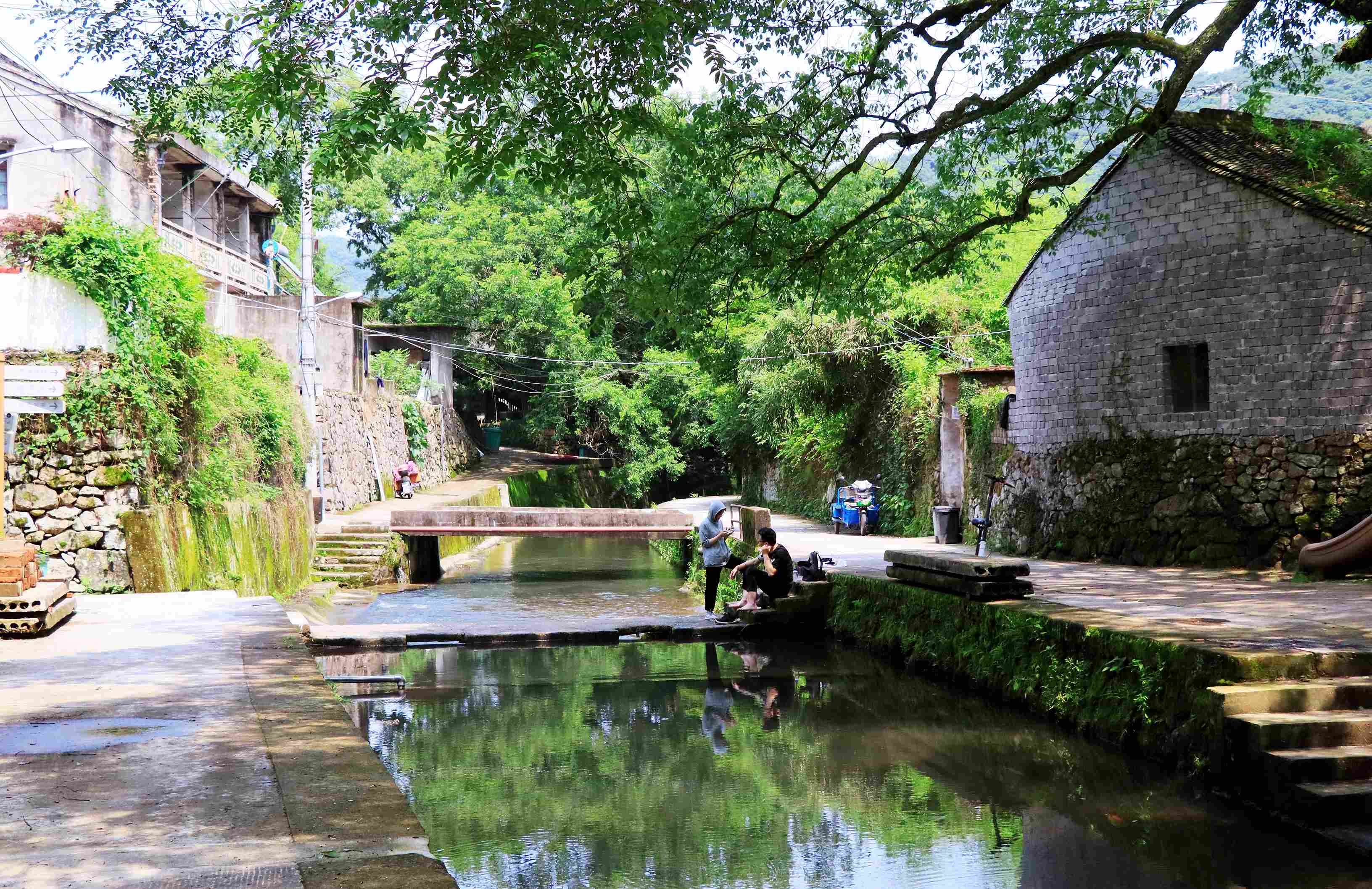 宁波这个古村真是太美了，三条古道幽静清凉，胜似桃源可玩水露营