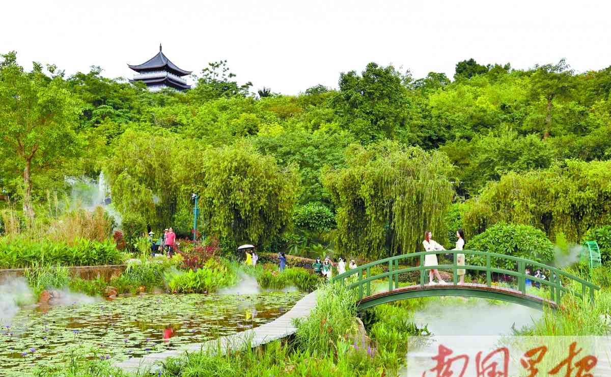 南宁青秀山2022年水生花卉观赏季来啦！带你穿越时空，感受莫奈花园的美