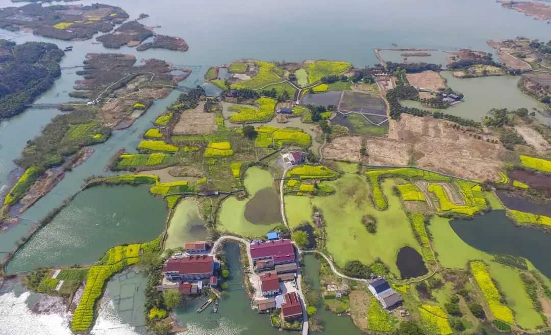 未来一周,湖州这些公园免费开放