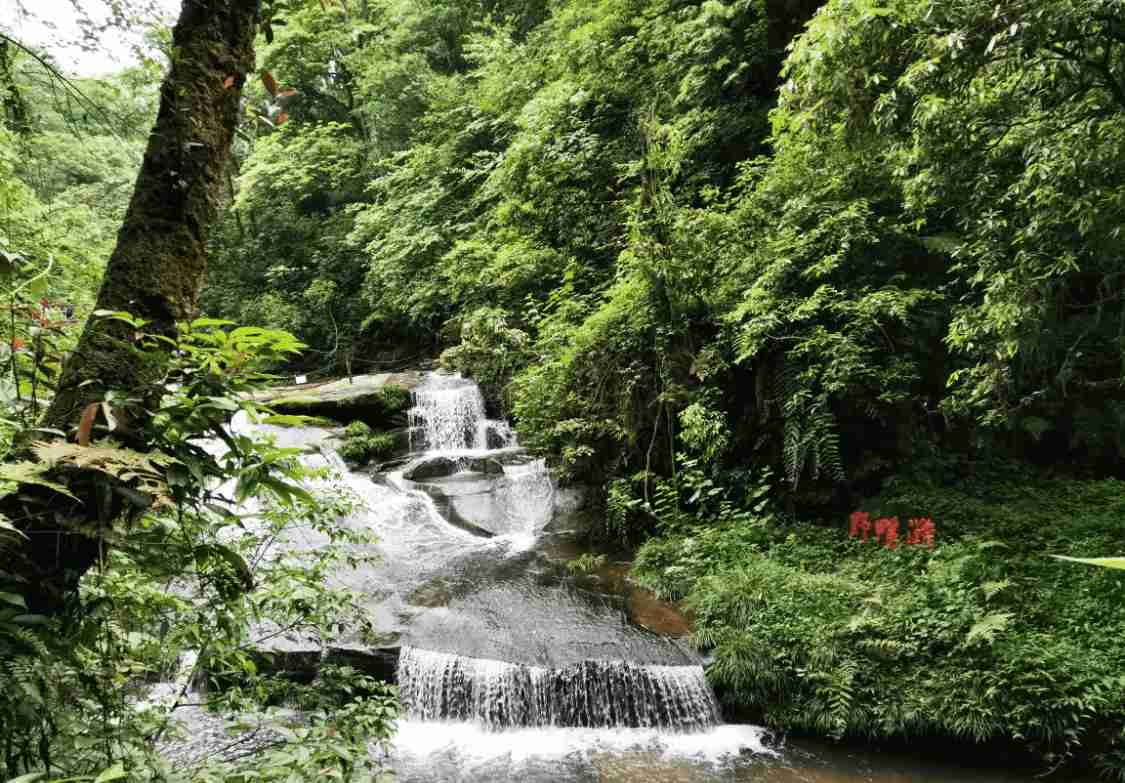 四川夏天适合避暑的3个景点,游山玩水凉爽舒适,老人孩子也喜欢