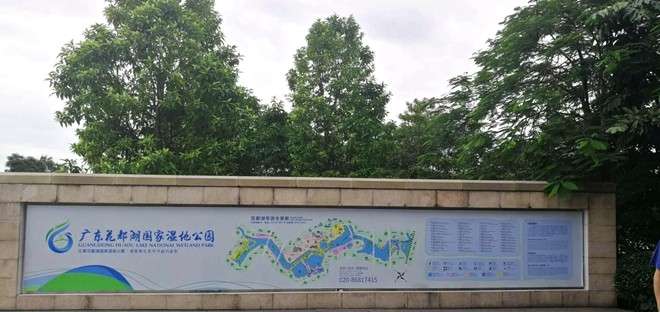 风景这边独好—走进花都湖国家湿地公园