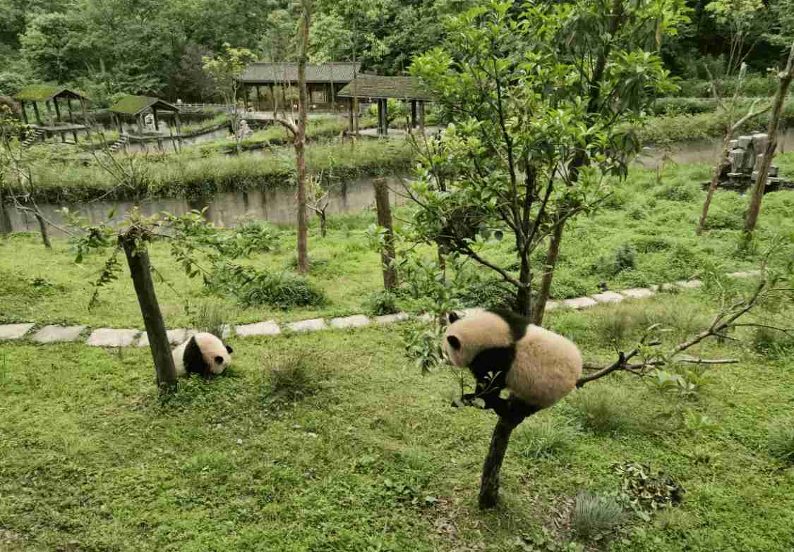 四川夏天适合避暑的3个景点,游山玩水凉爽舒适,老人孩子也喜欢