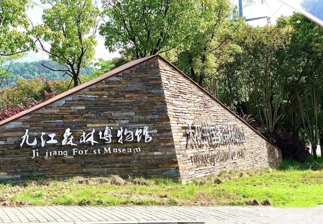 天花井森林公园亲子情侣打卡圣地