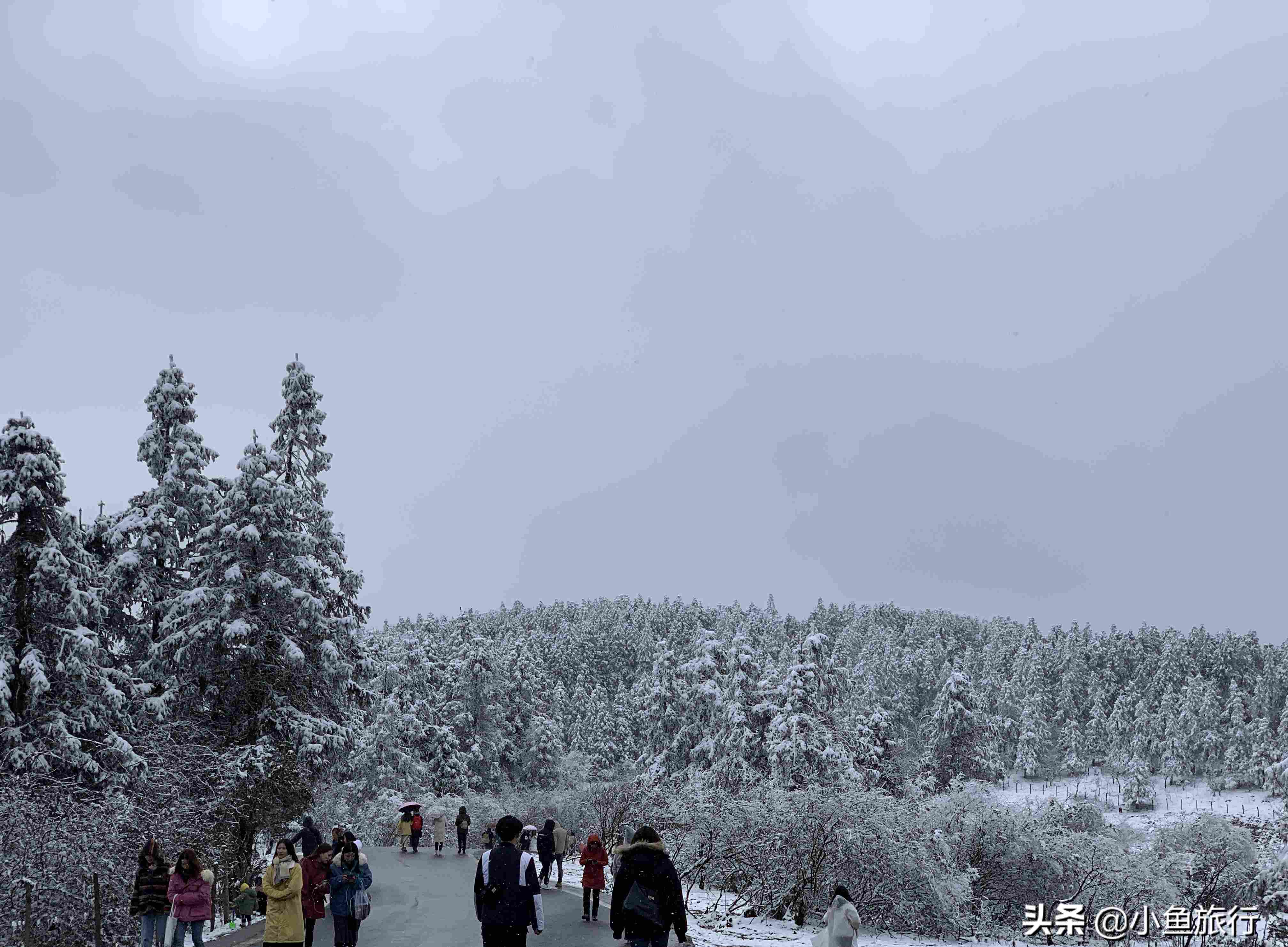 2021年最全重庆武隆仙女山玩雪赏雪滑雪攻略