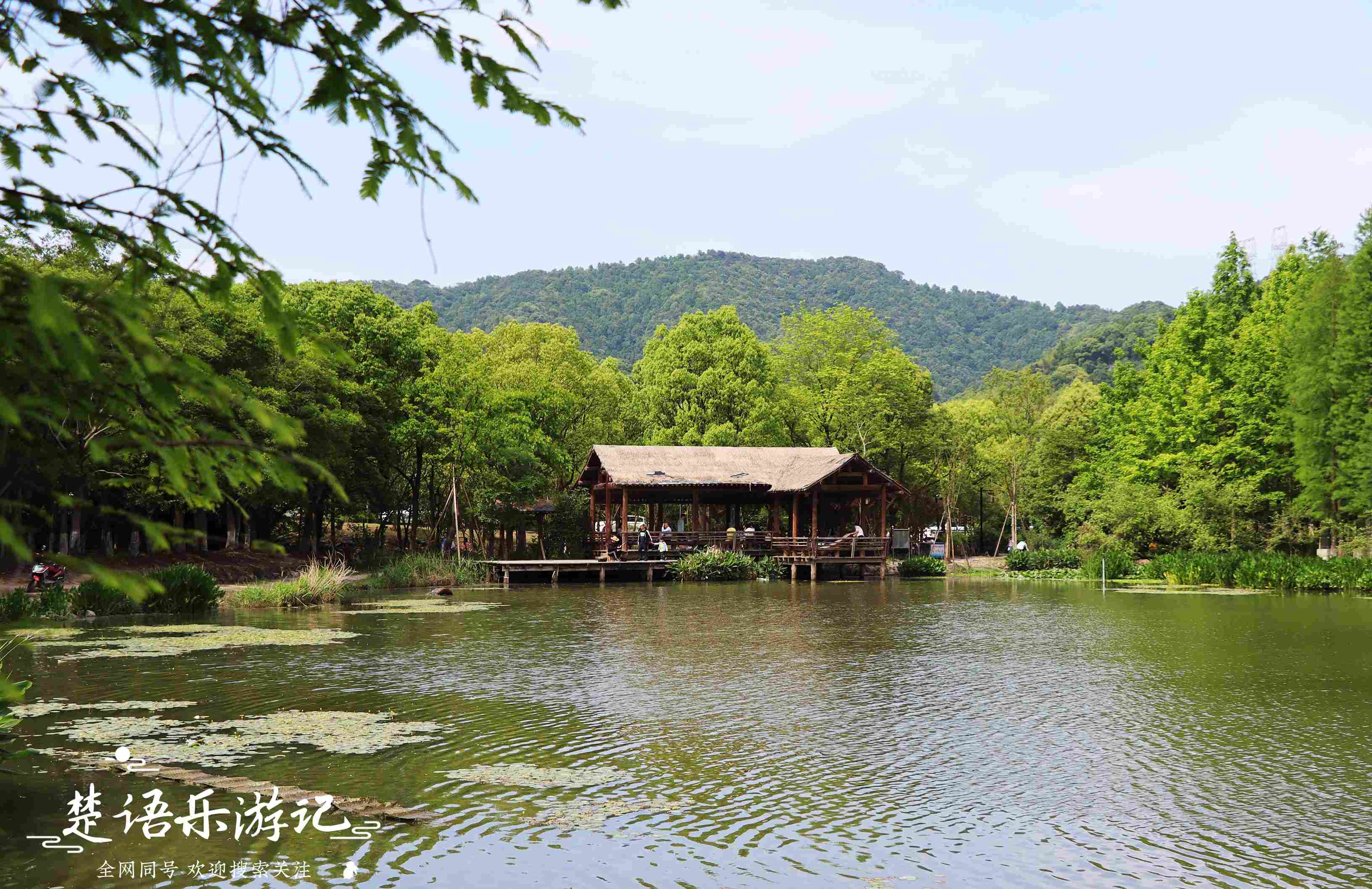 宁波浮碧山下的人工湖，由休闲胜地变成露营胜地，景美却免费开放