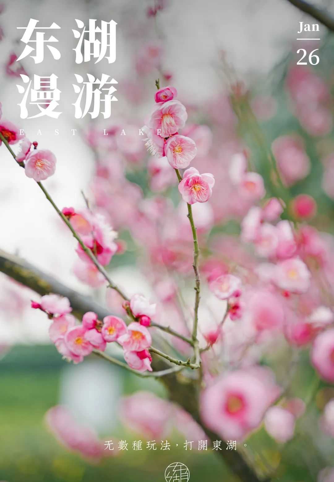 东湖春节游玩指南出炉,速看!