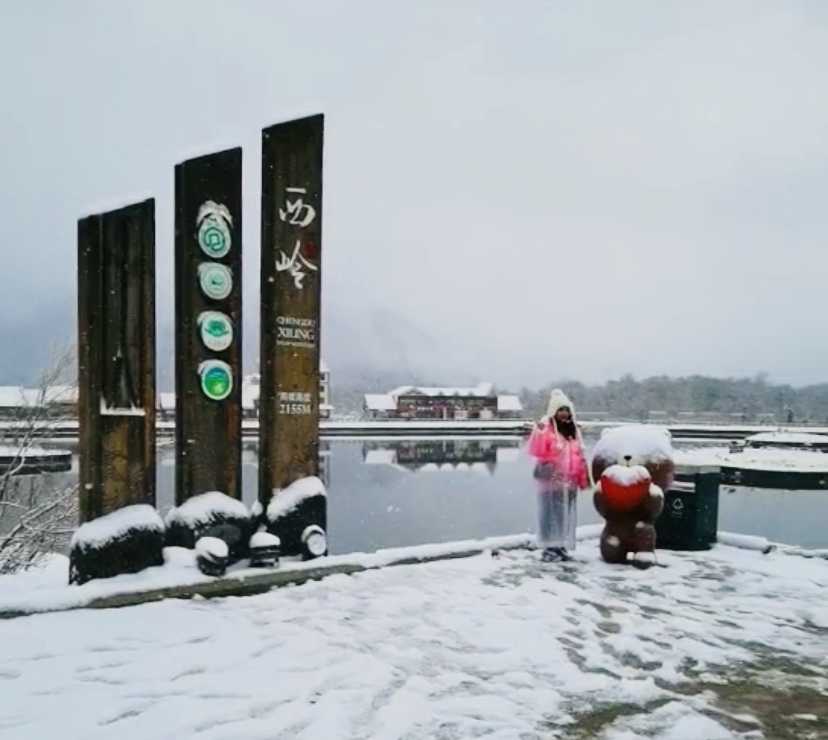 哇,鹅毛大雪!倒春寒,西岭雪山再降大雪