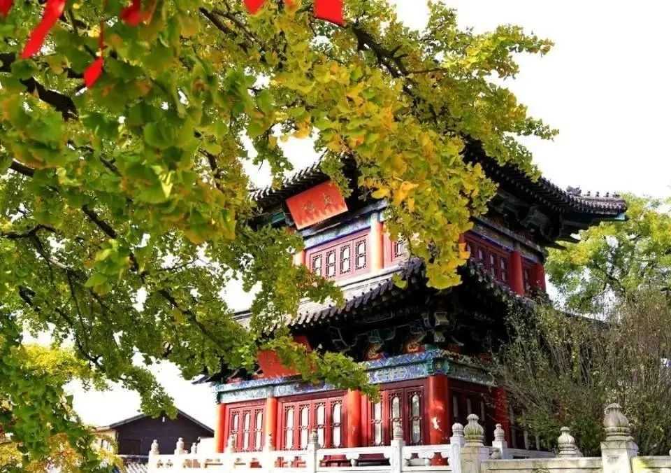 收藏!连云港秋季八条自驾游精品线路出炉