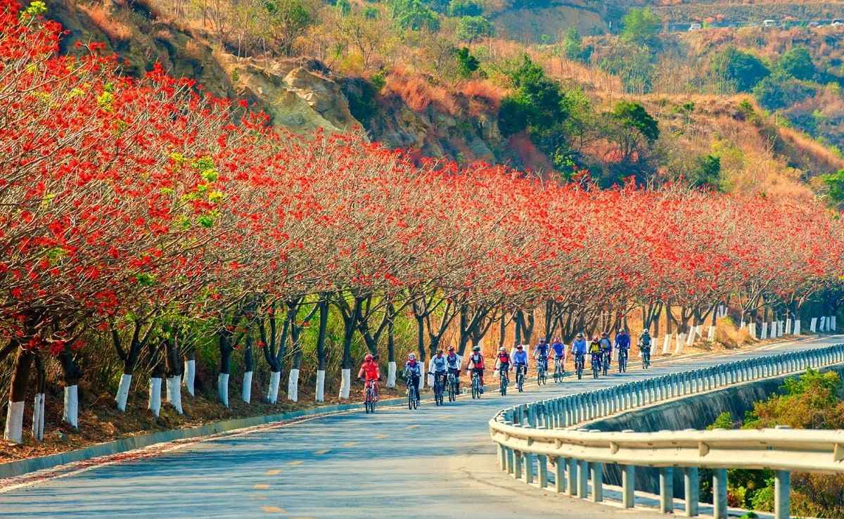 来四川攀枝花旅游不能错过的12个景点,看这一篇就够了,最爱哪个