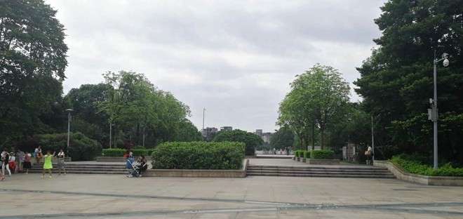 风景这边独好—走进花都湖国家湿地公园